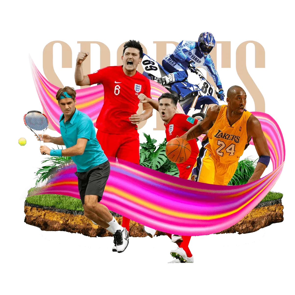 333体育体育赛事